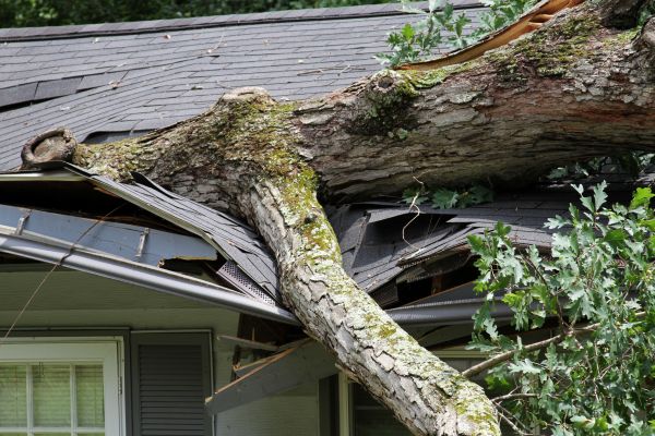 Storm Remediation in Sterling Heights