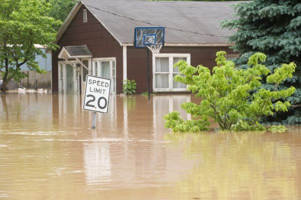 Storm Restoration Service in Sterling Heights