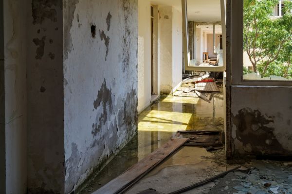 Cost of Water Removal Service in Sterling Heights