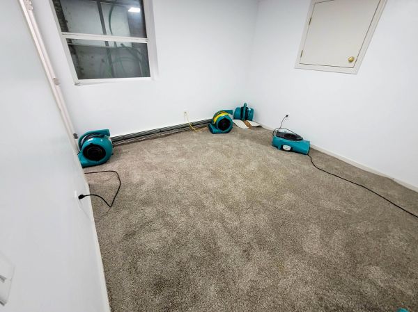 Flood Restoration Service in Sterling Heights