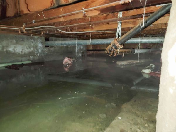 Water Mitigation Service in Sterling Heights