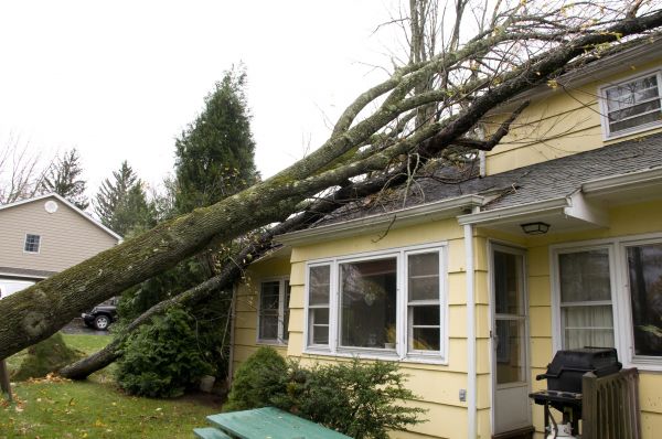 Hurricane Damage Repair in Sterling Heights